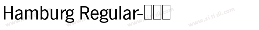 Hamburg Regular字体转换